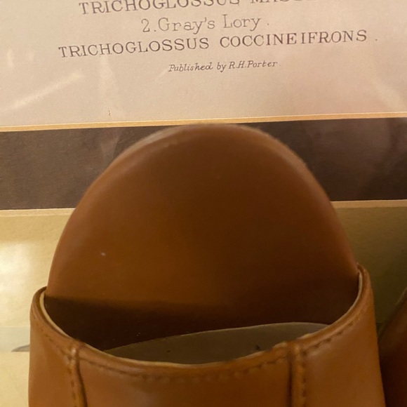 Calvin Klein Allie Cow Kansas Cigar Brown Heeled Peep Toe Mule 6.5. EUC in Box - Picture 5 of 15